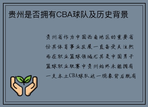贵州是否拥有CBA球队及历史背景