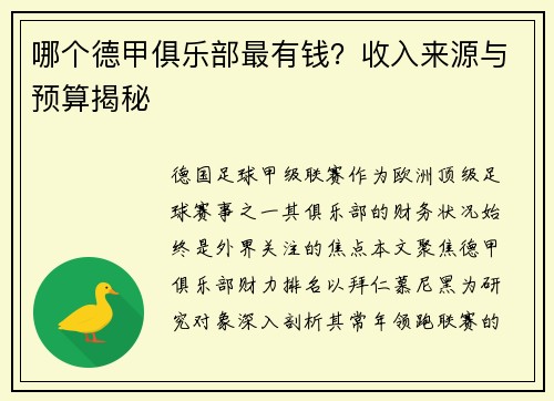 哪个德甲俱乐部最有钱？收入来源与预算揭秘